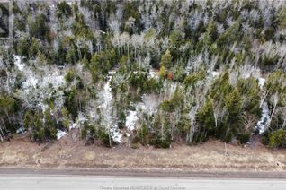 Vacant Residential Land for Sale, Lot 21-41 Orchard Ave, Irishtown, NB