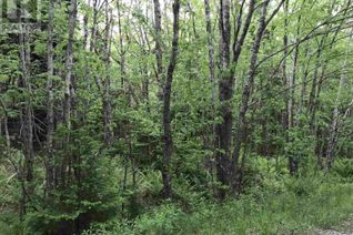 Property for Sale, 53.03 Acres Highway 308 Highway, Belleville, NS Property for Sale, 53.03 Acres Highway 308 Highway, Belleville, NS