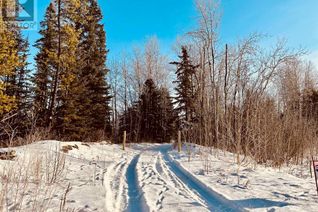 Commercial Land for Sale, Sw-21-70-6-6, Rural Grande Prairie No. 1, County of, AB