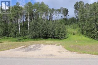 Land for Sale, 16511 Township Road Subdivision #23, Rural Yellowhead County, AB