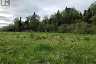 Commercial Land for Sale, Lot#12 Upper Tranquil Waters Road, REIDVILLE, NL
