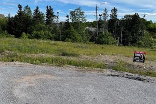 Commercial Land for Sale, 8a Jacks Place, Deer Lake, NL