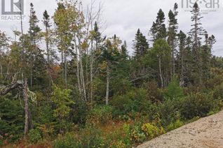 Commercial Land for Sale, Lot 12 Hwy 329 Landing Drive, East River, NS