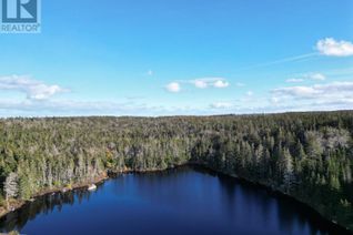 Commercial Land for Sale, No 16 Highway, Fox Island Main, NS