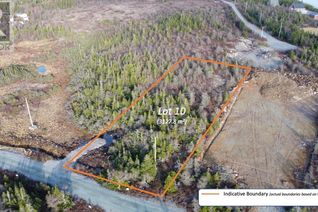 Land for Sale, 10 Rhodies Pond Grove, Placentia Jct., NL