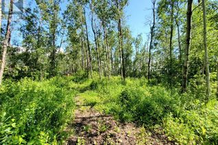 Land for Sale, Lot 4 Campsite Road, Plamondon, AB