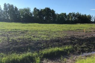 Land for Sale, Lot 20 Campsite Road, Plamondon, AB