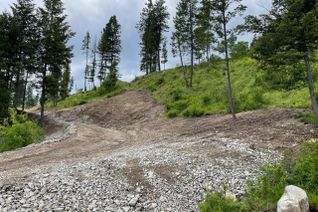 Land for Sale, Km16 Christian Valley Road, Rock Creek/Bridesville, BC