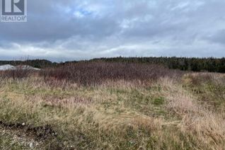 Property for Sale, Lot 146 Front Road, PORT AU PORT WEST, NL