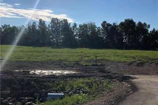 Land for Sale, Lot 19 Campsite Road, Plamondon, AB