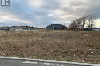 Commercial Land for Sale, 5 Laurena Drive, Stephenville, NL