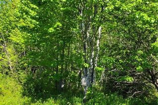 Land for Sale, Lot Route 105, Mill Cove, NB