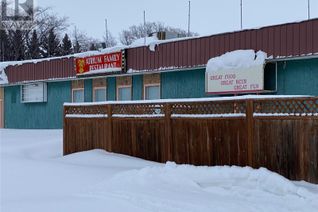 Commercial/Retail Property for Sale, 100 Main Street S, Wadena, SK