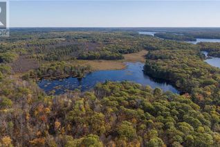 Land for Sale, 0 Alf's Bay Lane, Henderson, ON Land for Sale, 0 Alf's Bay Lane, Henderson, ON