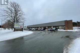 Warehouse Business for Sale, 18-20 Duffy Place, St. John's, NL