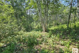 Property for Sale, 19 51124 Rge Rd 264, Rural Parkland County, AB