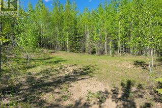 Property for Sale, Tawatinaw Drive, Rural Athabasca County, AB
