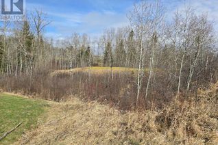 Land for Sale, 125 Wolf Run Drive, Rural Ponoka County, AB