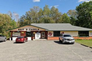 General Commercial Business for Sale, 1 Bait And Tackle Rd, Nestor Falls, ON