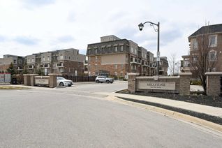 Apartment for Rent, 2441 Greenwich Dr #116, Oakville, ON Apartment for Rent, 2441 Greenwich Dr #116, Oakville, ON