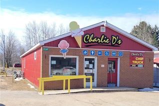Commercial/Retail Property for Sale, 19349 Opeongo Line, Barry's Bay, ON