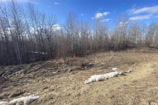 Property for Sale, 14 54419 Rge Rd 14, Rural Lac Ste. Anne County, AB