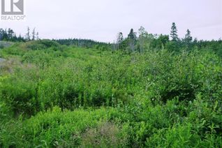 Commercial Land for Sale, 2-4 Snows Pond Road, North River, NL