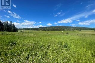 Land for Sale, Lot 15 Highway 16 W, Hinton, AB