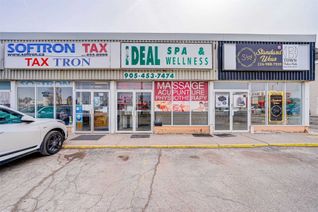 Spa/Tanning Business for Sale, 253 Queen St E #04, Brampton, ON