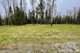Commercial Land for Sale, 653 Sandy Beach Rd, Dryden, ON
