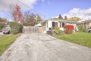Bungalow for Rent, 181 Penn Ave, Newmarket, ON