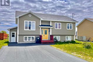Detached House for Sale, 12 Bare Mountain Road, CLARENVILLE, NL