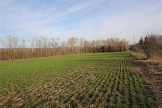 Vacant Residential Land for Sale, 4 Stoney Creek Rd E, Kawartha Lakes, ON