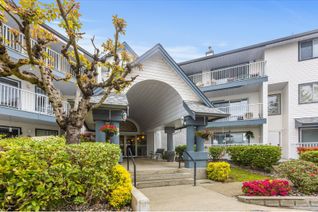 Property for Sale, 11601 227 Street #311, Maple Ridge, BC Property for Sale, 11601 227 Street #311, Maple Ridge, BC