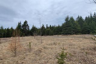 Land for Sale, 7a Green's Road, Burin Bay Arm, NL