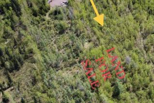 Commercial Land for Sale, 231a Grenfell, Grand Falls-Windsor, NL