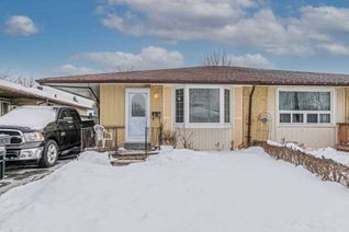 Bungalow for Rent, 39 Seaborn Rd (Upper) Rd, Brampton, ON