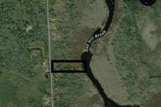 Property for Sale, 13 Highway 203, Upper Ohio, NS