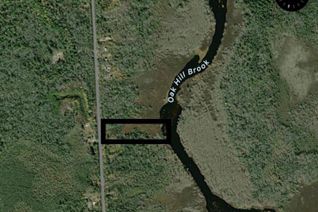 Land for Sale, 13 Highway 203, Upper Ohio, NS