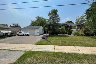 Bungalow for Rent, 234 Sussex Ave #Bsmt, Richmond Hill, ON