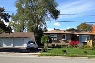 Bungalow for Rent, 234 Sussex Ave #Bsmt, Richmond Hill, ON