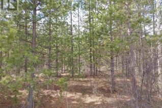 Commercial Land for Sale, 4 Colleymount Ager Road #LOT, Burns Lake, BC