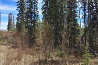 Commercial Land for Sale, 5 Colleymount Ager Road #LOT, Burns Lake, BC