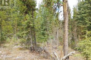 Land for Sale, 9 Ager Road #LOT, Burns Lake, BC