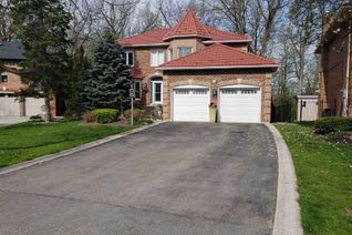 Apartment for Rent, 18 Grand Oaks Crt #Lower, Brampton, ON Apartment for Rent, 18 Grand Oaks Crt #Lower, Brampton, ON