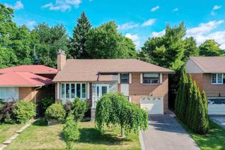 Sidesplit for Rent, 64 Sloley Rd, Toronto, ON Sidesplit for Rent, 64 Sloley Rd, Toronto, ON