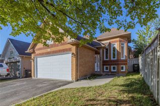 Bungalow for Sale, 58 Springview Dr, Brampton, ON Bungalow for Sale, 58 Springview Dr, Brampton, ON