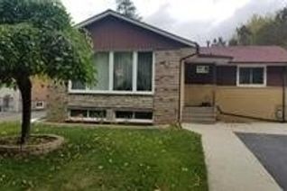 Bungalow for Rent, 34 Burgby Ave, Brampton, ON