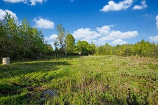 Vacant Residential Land for Sale, 22 Hutchinson Crt, Trent Hills, ON