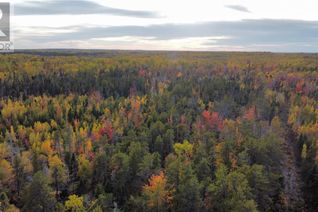 Property for Sale, Lot Route 530, Grande-Digue, NB